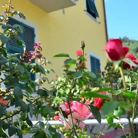La Casa Delle Rose With Air Conditioning La Spezia
